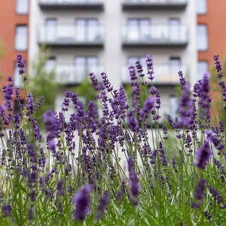 Lokum Salsa Air-conditioned With Patio Cracow By Renters *